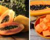 ¿Qué le pasa a tu cuerpo si comes papaya todos los días? Los efectos en tu salud – .