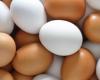 ¿Cuál es la diferencia entre huevos blancos y de colores? – .