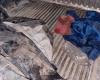 Lo que revelaron las autopsias a los cuatro muertos por robo de cables en Bahía Blanca: la persecución antes del hallazgo