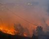 Cinco muertos y 1.300 hectáreas de tierra afectadas por los incendios forestales de Uttarakhand, dicen las autoridades
