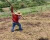 Agencia Nacional de Tierras entregó tierras a agricultores del sur del Huila