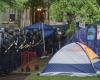 La policía arresta a decenas de manifestantes mientras despeja campamentos de protesta en campus estadounidenses – .