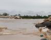 “Pueblos de La Mojana piden canalización del río Cauca”: ganadero – .