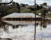 Graves inundaciones en Entre Ríos y Uruguay: miles de personas tuvieron que abandonar sus hogares