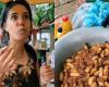 Italiano se vuelve viral tras probar el famoso gusano mojojoy en la Amazonia colombiana