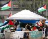 Nuevo campamento pro palestino en la Université du Québec à Montréal, dicen los organizadores – .