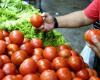 “Están del lado del tomate”, dijo un salteño al ver que el precio de la hortaliza había subido a 40.000 dólares la caja. – .