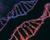 ¿Qué tan diferentes son los genomas de dos personas diferentes? | Los científicos responden