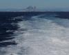 Orcas hundió un velero en el Estrecho de Gibraltar – .