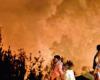 Los incendios forestales en Uttarakhand amenazan a la rara fauna del Himalaya, dicen los expertos – .