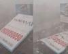 14 personas muertas y 74 heridas tras la caída de un cartel ilegal de 100 pies de altura durante una tormenta de polvo – India News -.