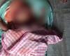 Perro mata a un bebé de 5 meses en una casa de Telangana