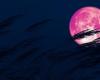 LUNA LLENA 2024 | ¿Cuándo es la luna llena en junio y por qué se llama luna de fresa? – .