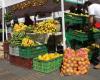Empresas del conglomerado Gobierno de Antioquia comprarán alimentos locales