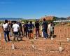 Cultivar almendras y avellanas en La Rioja Alta es posible