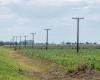 El Fondo de Electrificación Rural con largos años por delante en Santa Fe