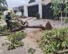 Por fuertes vientos; La Alcaldía de Santa Cruz atendió cinco casos de emergencia