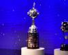 ¿Cómo se definen los 8 cupos del FPC para Libertadores y Sudamericana 2025? – .