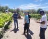 Estudiantes de la UCN asesoran a productores de vinos premium en la localidad de Toconao