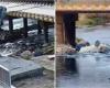 Una mujer y su perro cayeron con su auto desde un puente al río Ctalamochita
