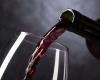 Los mejores 5 vinos de Argentina, según la Inteligencia Artificial – .