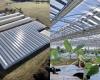 Un agricultor francés inaugura la primera instalación de cultivo de fresas cubierta con paneles fotovoltaicos semitransparentes y pantallas de sombreado dinámico.