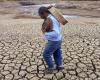 La UE y América Latina contra la desertificación y la sequía – DW – 18/06/2024 – .