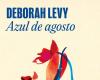 La nueva novela de la multipremiada Deborah Levy. – El placer de leer – .