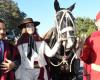 La vicepresidenta Victoria Villarruel participó de los actos de Güemes en Salta y desfiló a caballo