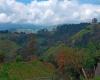 Caldas y Antioquia, unidos por el turismo, el empleo y la innovación en sus regiones – NOTICIAS – .